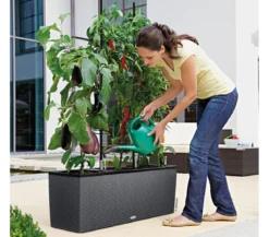 LECHUZA® Trio Cottage Rankgitter, schwarz, ca. B86/H135 cm