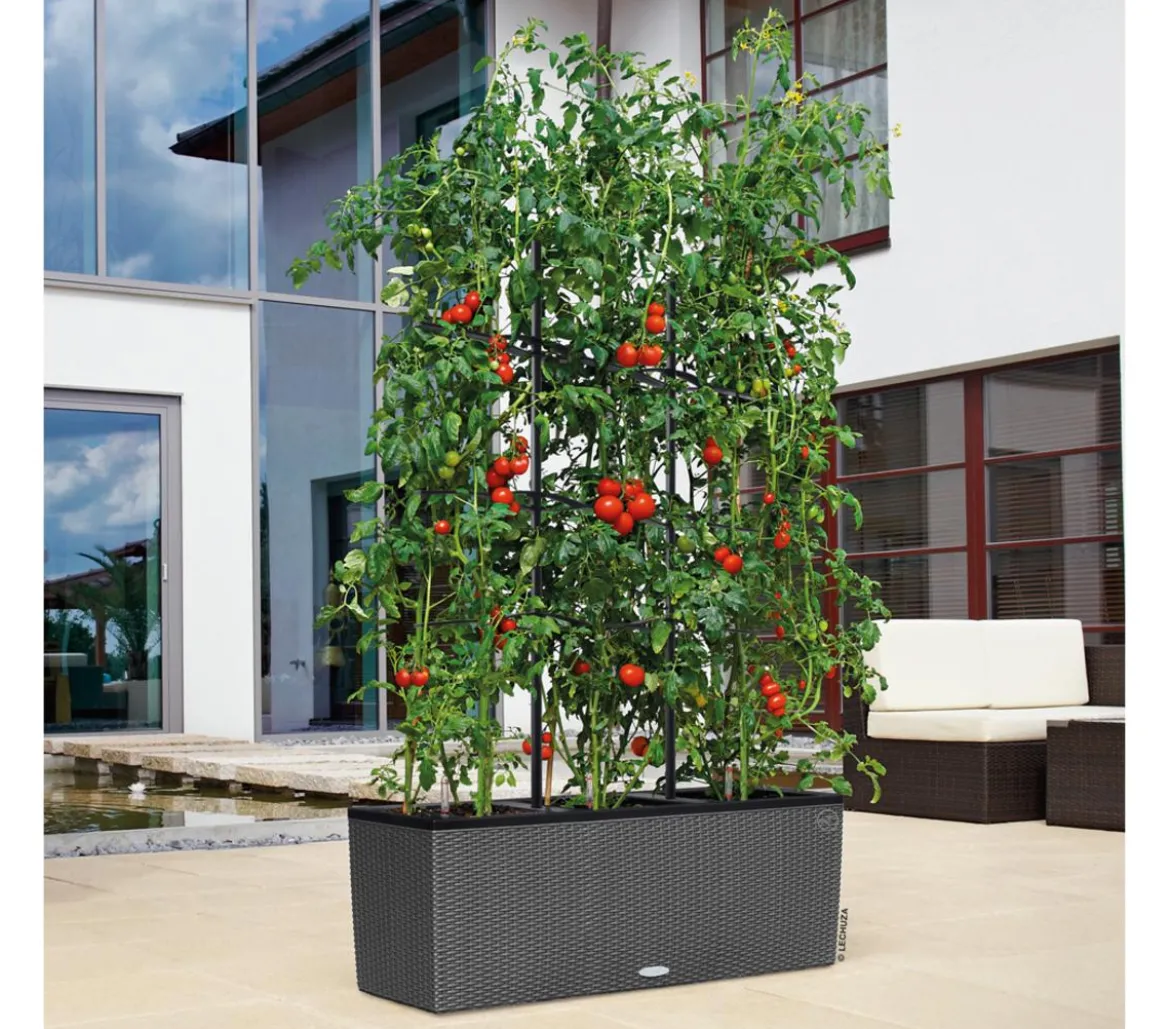 LECHUZA® Trio Cottage Rankgitter, schwarz, ca. B113/H170 cm