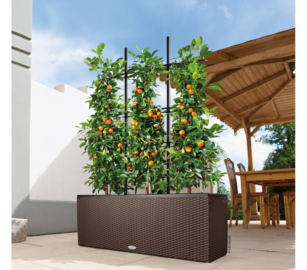 LECHUZA® Trio Cottage Rankgitter, schwarz, ca. B113/H170 cm