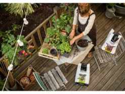 LECHUZA® VEGGIEPON Gemüsepflanzsubstrat