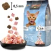 Leonardo Trockenfutter für Katzen Kitten Getreidefrei, Geflügel