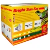 Lucky Reptile Bright Sun Set Jungle