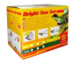 Lucky Reptile Bright Sun Set Jungle