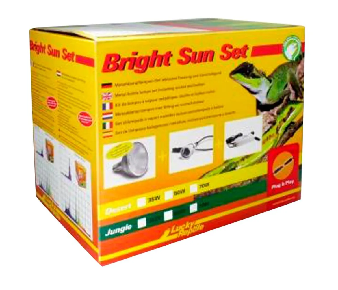 Lucky Reptile Bright Sun Set Jungle