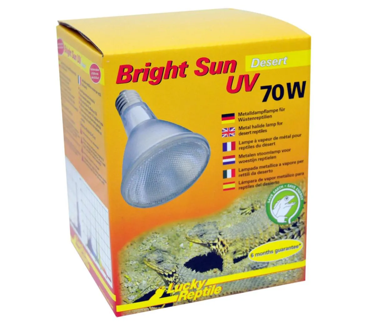 Lucky Reptile Bright Sun UV Desert