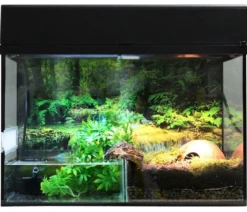 Lucky Reptile Starter Kit Komplettset Bombina/Pacman, ca. B80/H52/T40 cm