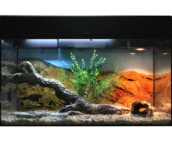 Lucky Reptile Starter Kit Komplettset Bartagame, ca. B80/H52/T40 cm