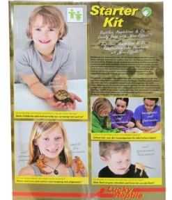 Lucky Reptile Starter Kit Komplettset Bartagame, ca. B80/H52/T40 cm