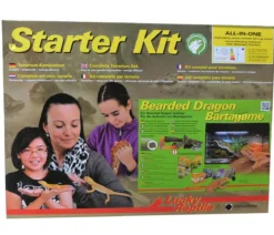 Lucky Reptile Starter Kit Komplettset Bartagame, ca. B80/H52/T40 cm