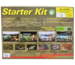 Lucky Reptile Starter Kit Komplettset Bartagame, ca. B80/H52/T40 cm