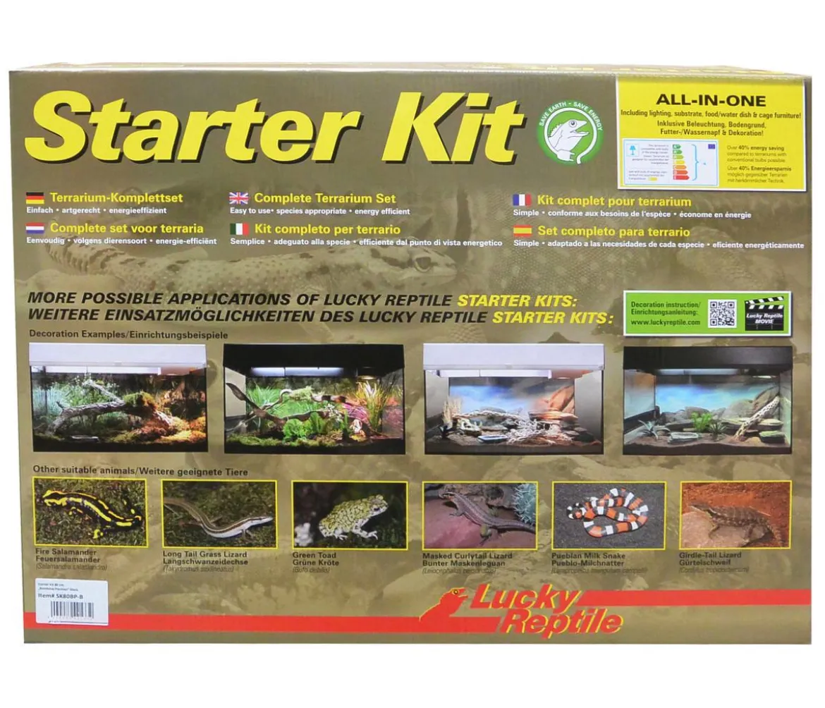 Lucky Reptile Starter Kit Komplettset Bartagame, ca. B80/H52/T40 cm