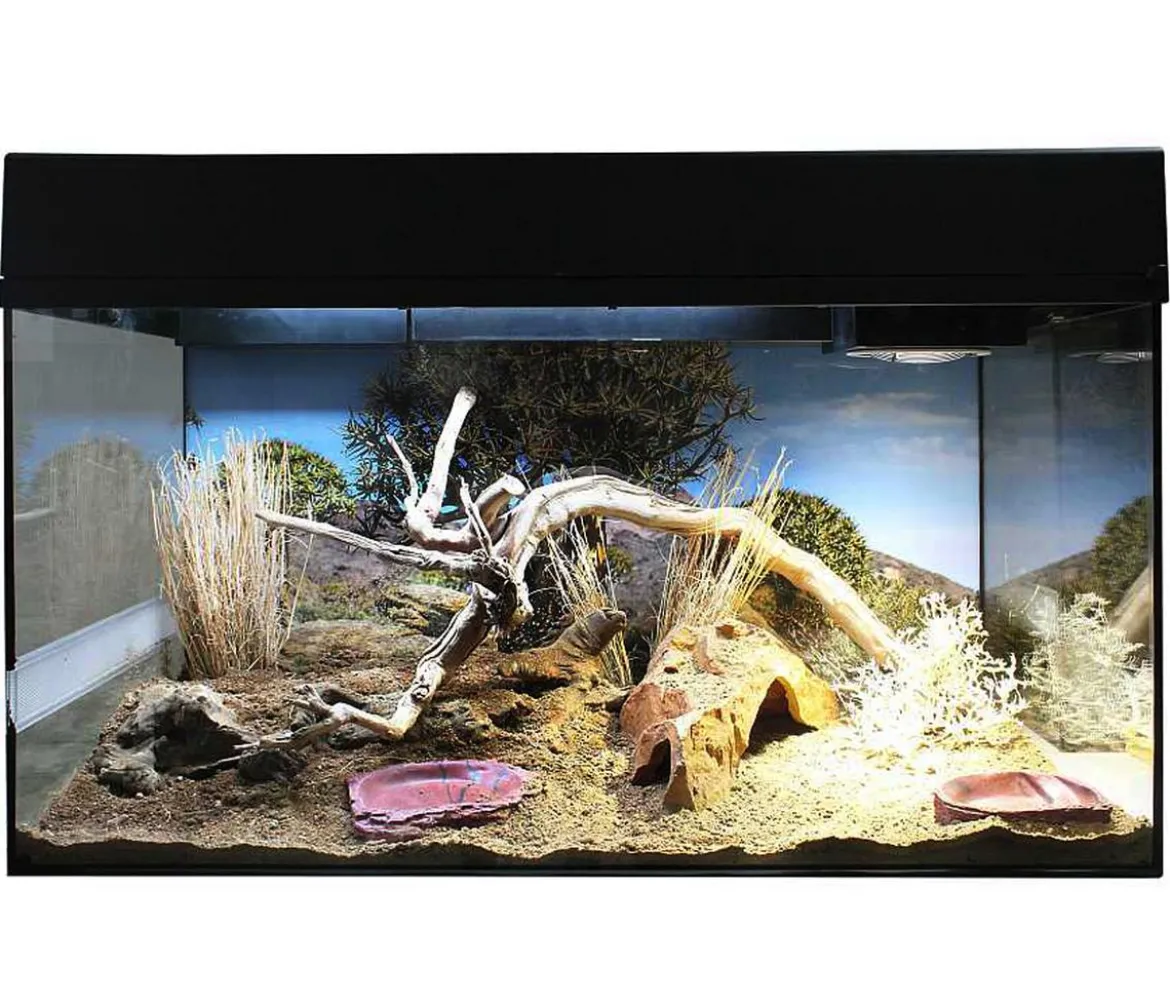 Lucky Reptile Starter Kit Komplettset Bartagame, ca. B80/H52/T40 cm