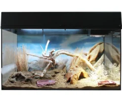 Lucky Reptile Starter Kit Komplettset Bartagame, ca. B80/H52/T40 cm