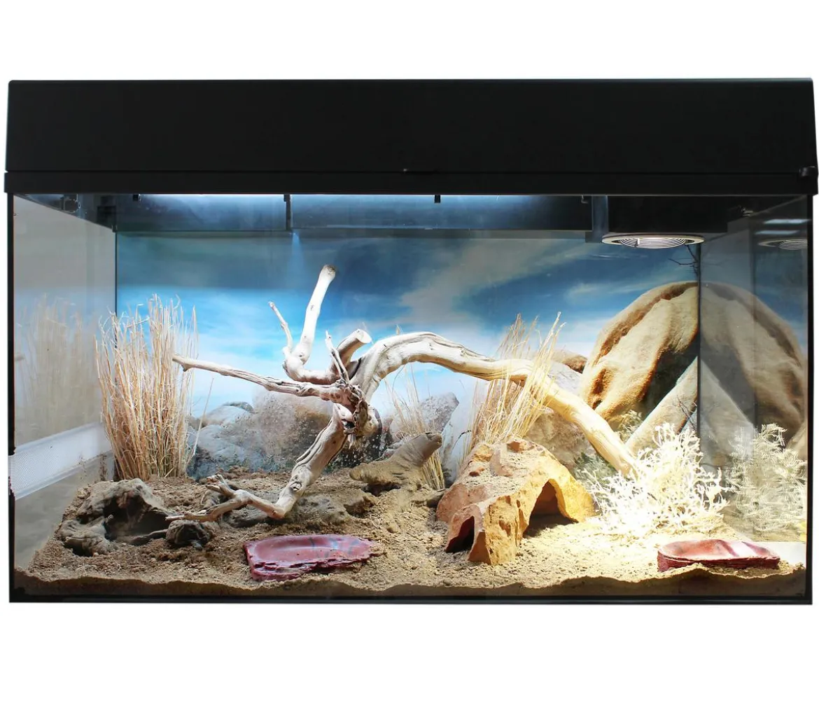 Lucky Reptile Starter Kit Komplettset Bartagame, ca. B80/H52/T40 cm