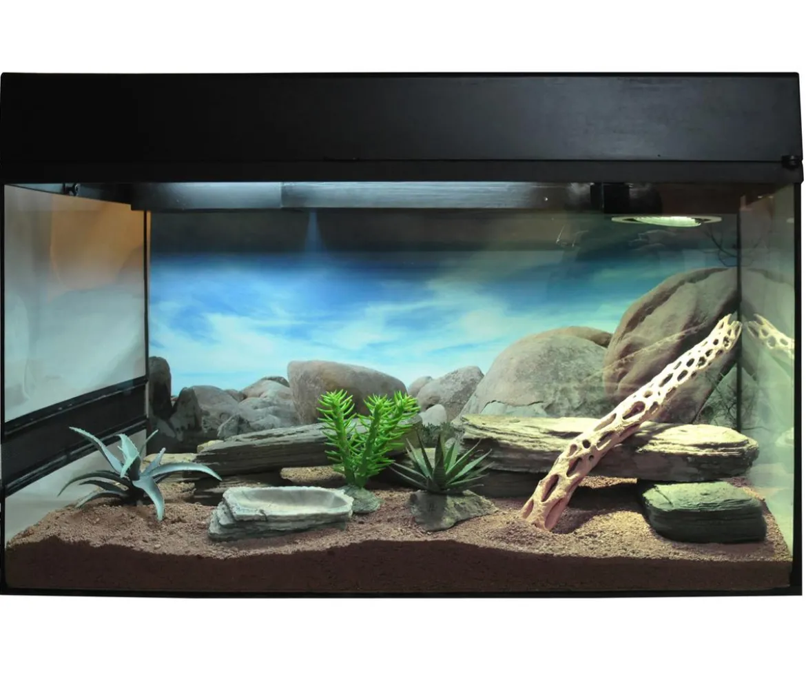 Lucky Reptile Starter Kit Komplettset Bartagame, ca. B80/H52/T40 cm