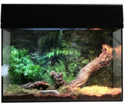 Lucky Reptile Starter Kit Komplettset Spinnen/Skorpione, ca. B50/H40/28 cm