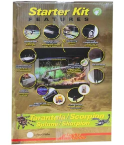 Lucky Reptile Starter Kit Komplettset Spinnen/Skorpione, ca. B50/H40/28 cm