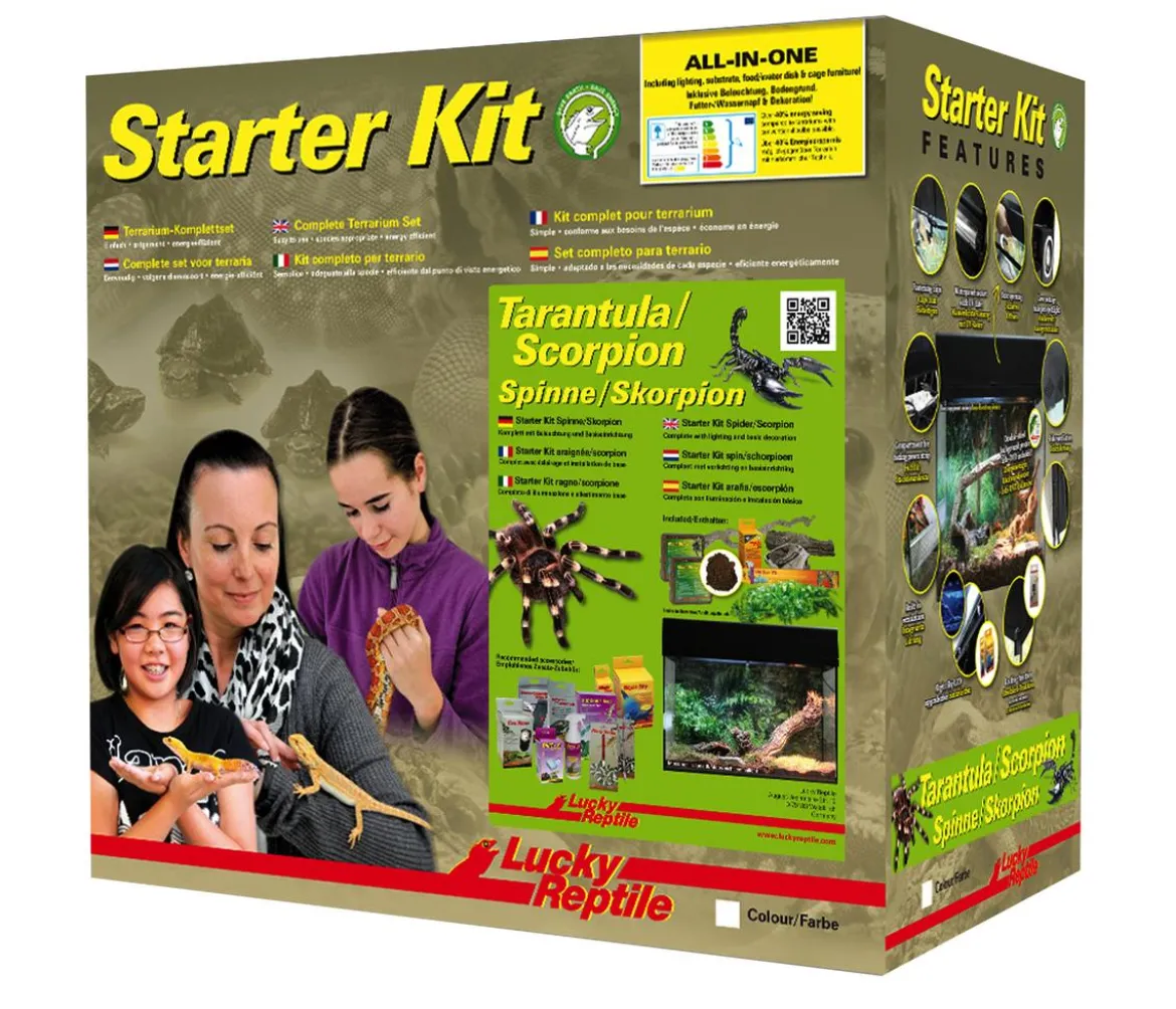 Lucky Reptile Starter Kit Komplettset Spinnen/Skorpione, ca. B50/H40/28 cm
