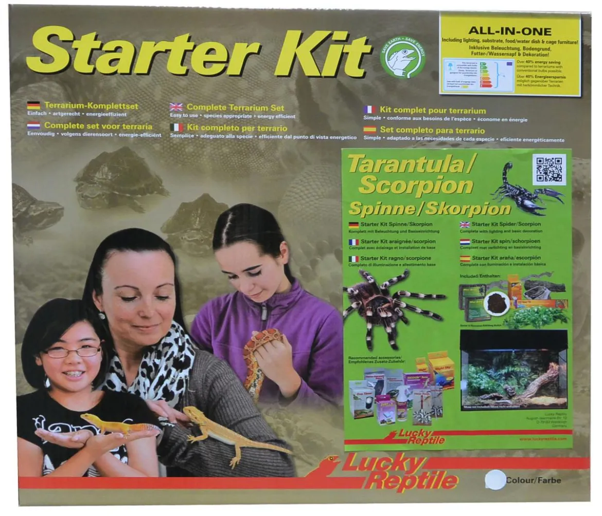 Lucky Reptile Starter Kit Komplettset Spinnen/Skorpione, ca. B50/H40/28 cm