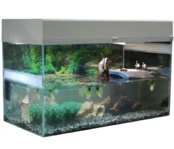 Lucky Reptile Starter Kit Komplettset Wasserschildkröte, ca. B80/H52/T40 cm