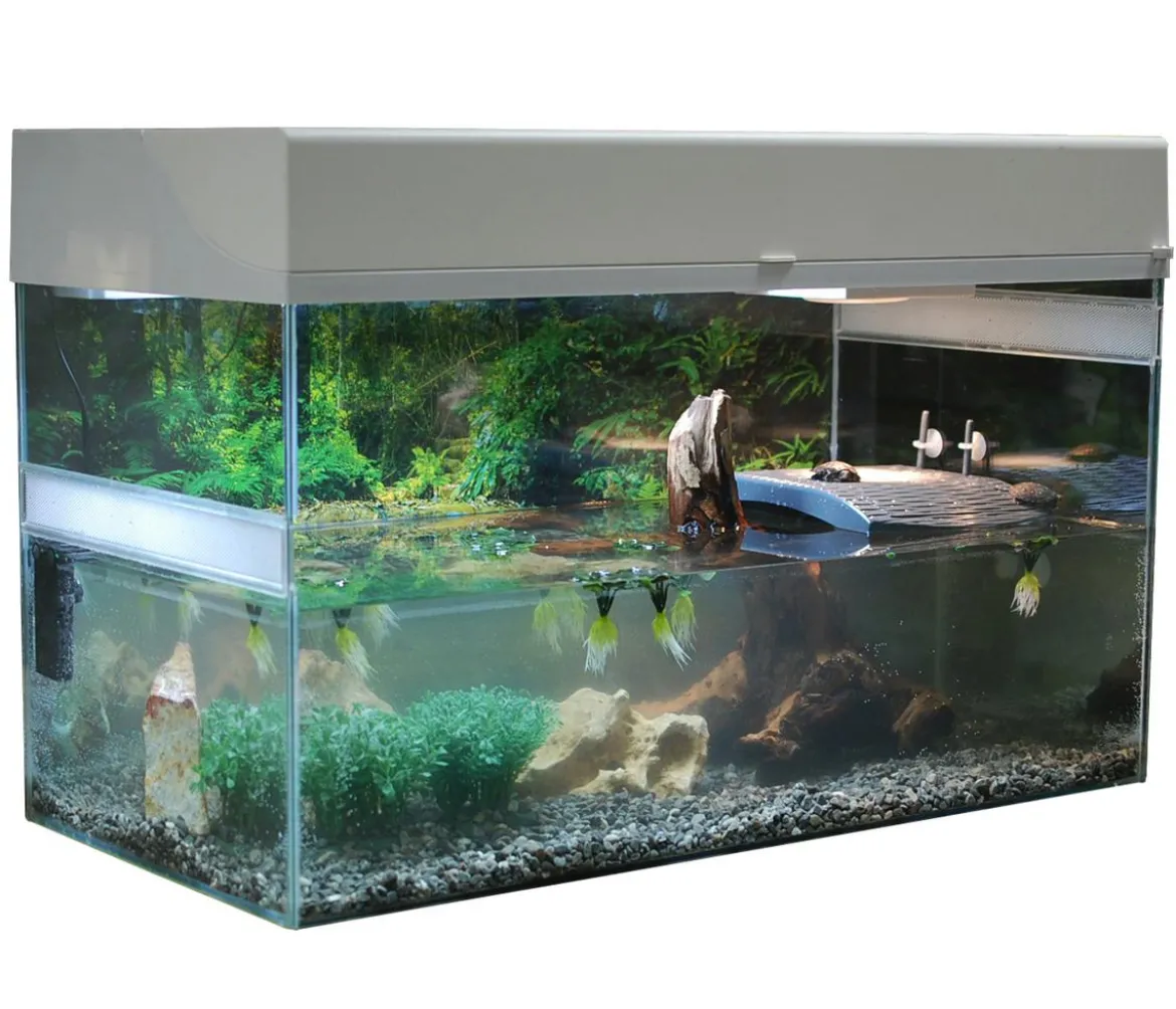 Lucky Reptile Starter Kit Komplettset Wasserschildkröte, ca. B80/H52/T40 cm