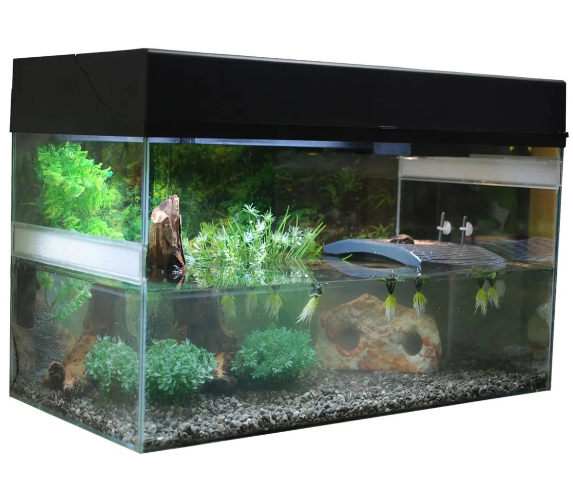 Lucky Reptile Starter Kit Komplettset Wasserschildkröte, ca. B80/H52/T40 cm
