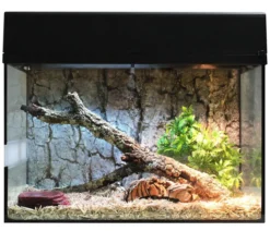 Lucky Reptile Terrarium Starter Kit Komplettset Schlangen