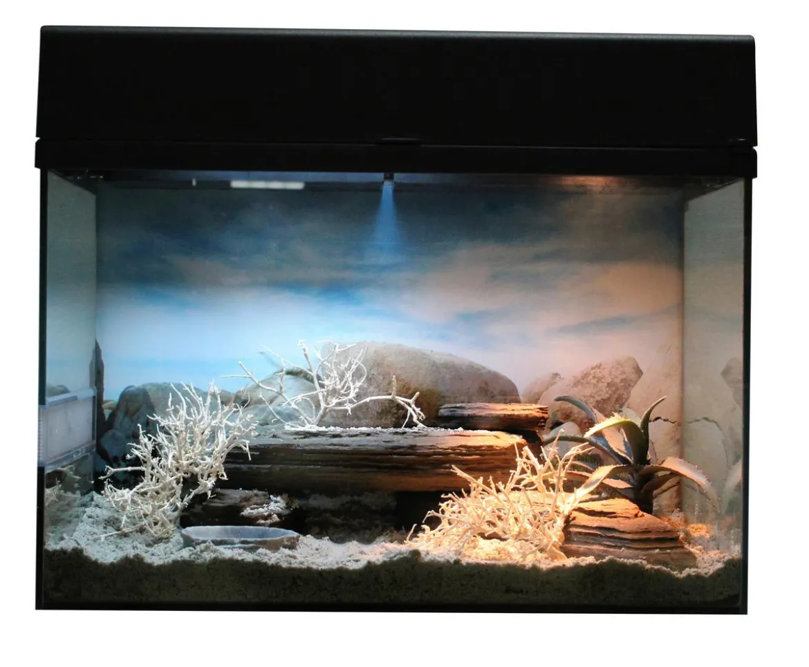 Lucky Reptile Terrarium Starter Kit Wüstengecko, ca. B50/H40/T28 cm