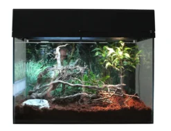 Lucky Reptile Terrarium Starter Kit Wüstengecko, ca. B50/H40/T28 cm