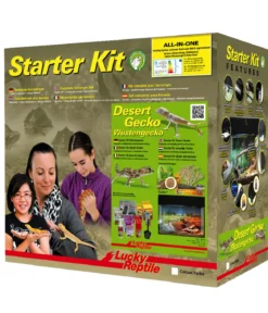 Lucky Reptile Terrarium Starter Kit Wüstengecko, ca. B50/H40/T28 cm