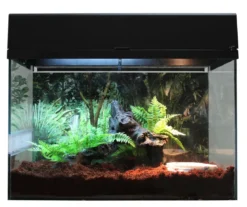 Lucky Reptile Terrarium Starter Kit Wüstengecko, ca. B50/H40/T28 cm
