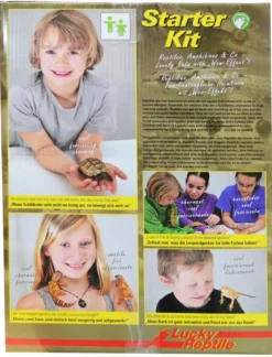 Lucky Reptile Terrarium Starter Kit Wüstengecko, ca. B50/H40/T28 cm