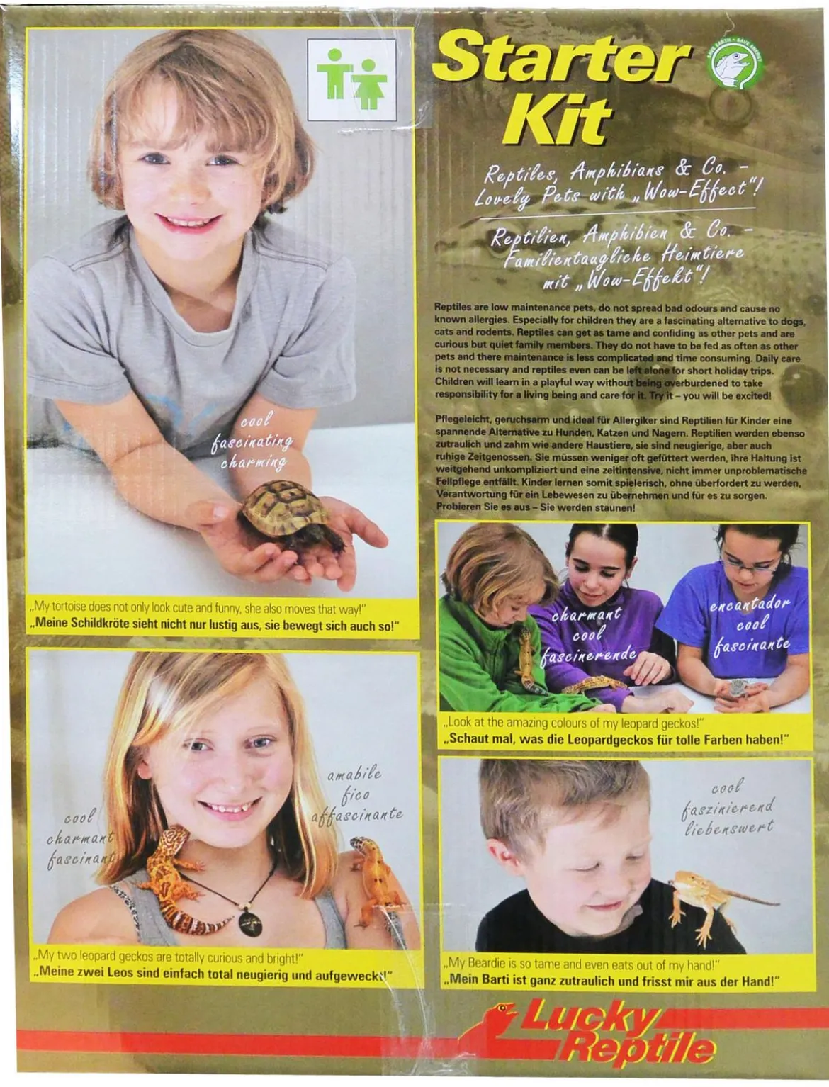 Lucky Reptile Terrarium Starter Kit Wüstengecko, ca. B50/H40/T28 cm