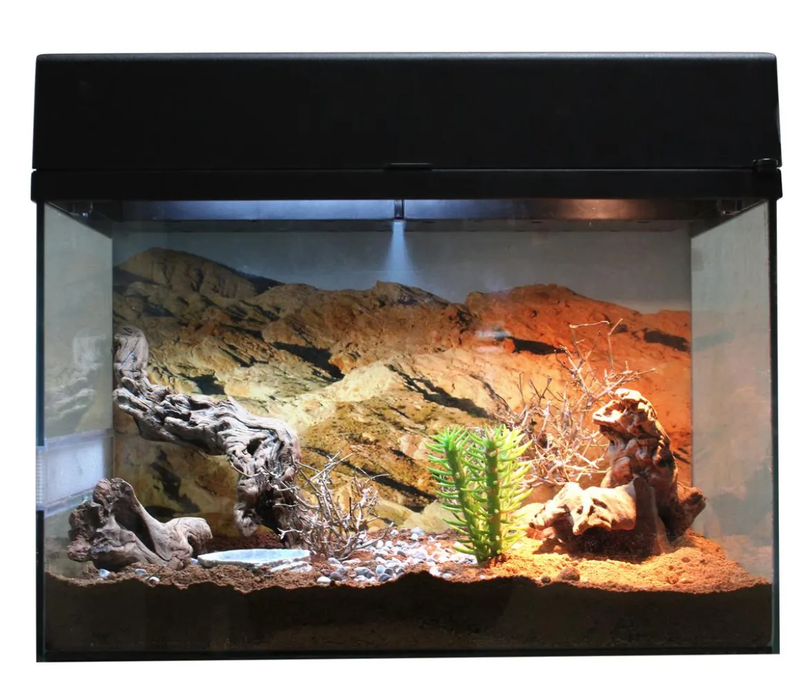 Lucky Reptile Terrarium Starter Kit Wüstengecko, ca. B50/H40/T28 cm