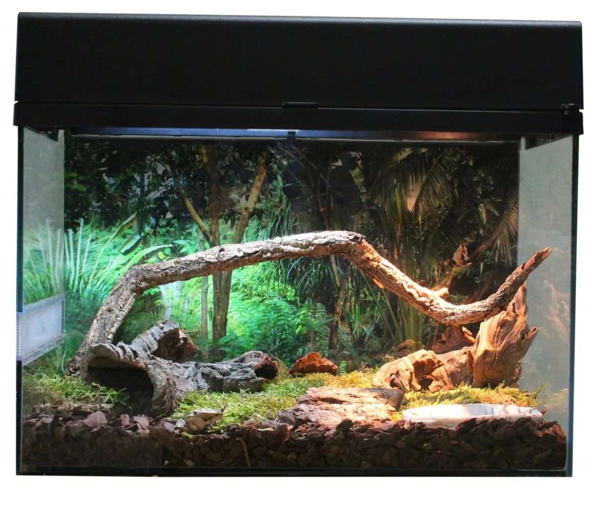 Lucky Reptile Terrarium Starter Kit Wüstengecko, ca. B50/H40/T28 cm