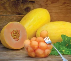 Mangomelone