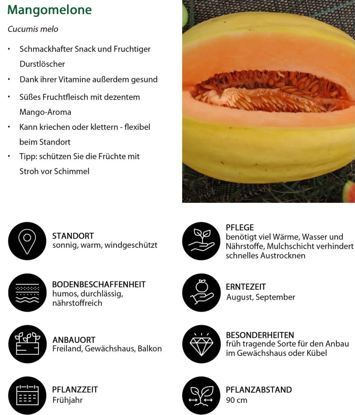 Mangomelone