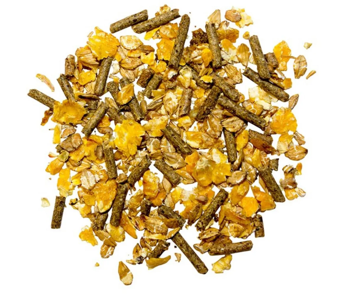marstall® Pferdefutter Müsli Freizeit, 20 kg