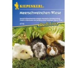 Meerschweinchen-Wiese, Saatgut von Kiepenkerl