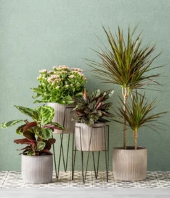 Metallpodest Blom Plant