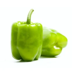 Mintpaprika