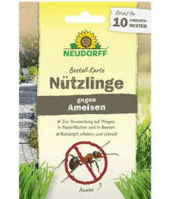 Neudorff Bestell-Karte Nützlinge gegen Ameisen, für 10 Nester, 1 Stk.
