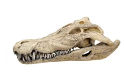 Nobby Aquariumdeko Krokodil Schädel, ca. B26/H9/T14 cm