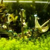 Nobby Aquariumdeko Schiff, ca. B33/H23/T13 cm