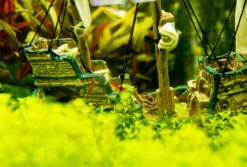 Nobby Aquariumdeko Schiff, ca. B33/H23/T13 cm