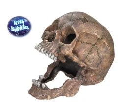 Nobby Aquariumdeko Totenkopf, ca. B20/H16,5/T13,5 cm