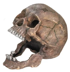 Nobby Aquariumdeko Totenkopf, ca. B20/H16,5/T13,5 cm