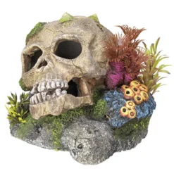 Nobby Aquariumdeko Totenkopf mit Pflanzen, ca. B13,5/H10,5/T13,5 cm