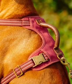 Nobby Hundegeschirr Sporty