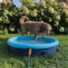 Nobby Hundepool Splash Pool 2 in 1